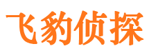 上海侦探公司